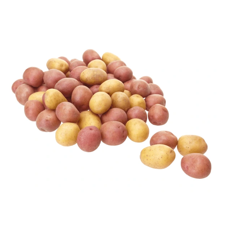 Petite pomme de terre rouge